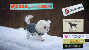 Dog-Labels-cover-1
