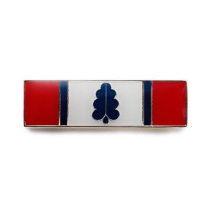 Police Service Award Bars, Law Enforcement, EMS, Firefighter Bars