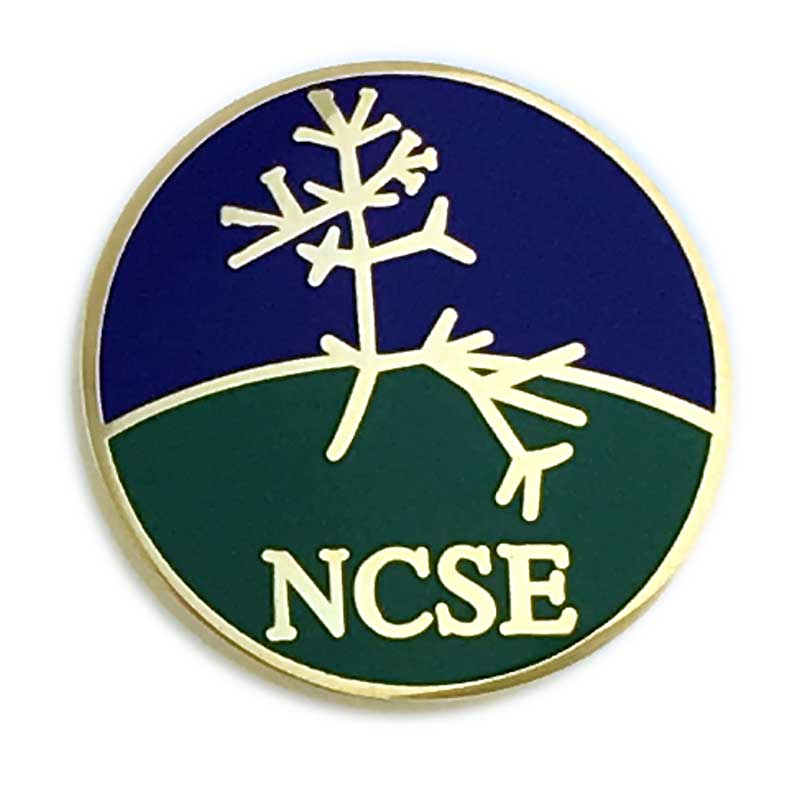 lapel pins, hard enamel pin, brand pin