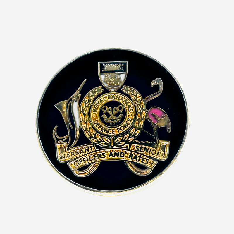 lapel pins, , custom military pin