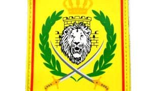 printed pvc patch lion