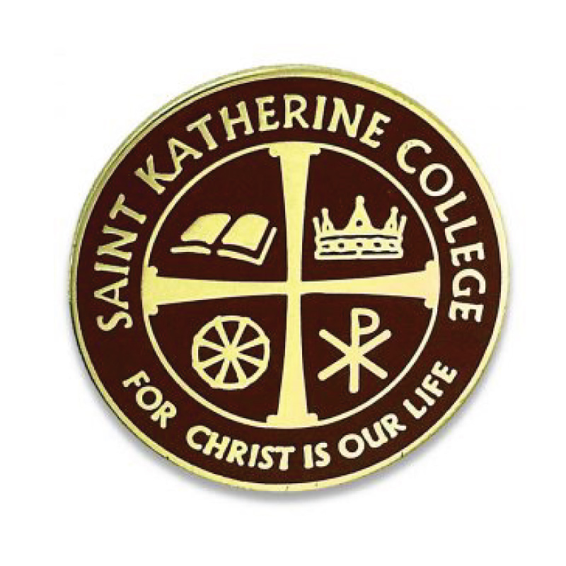 custom lapel pins, hard enamel pin, custom school pin